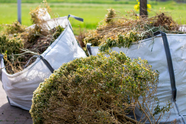 Best Furniture Removal Near Me  in Cody, WY